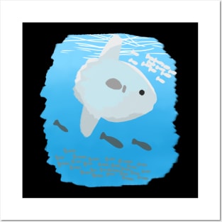 sunfish Posters and Art